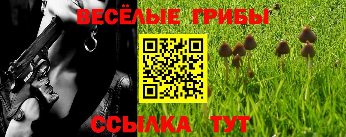 Галлюциногенные грибы GOLDEN TEACHER  где купить наркоту  Карпинск  Вход с VPN 