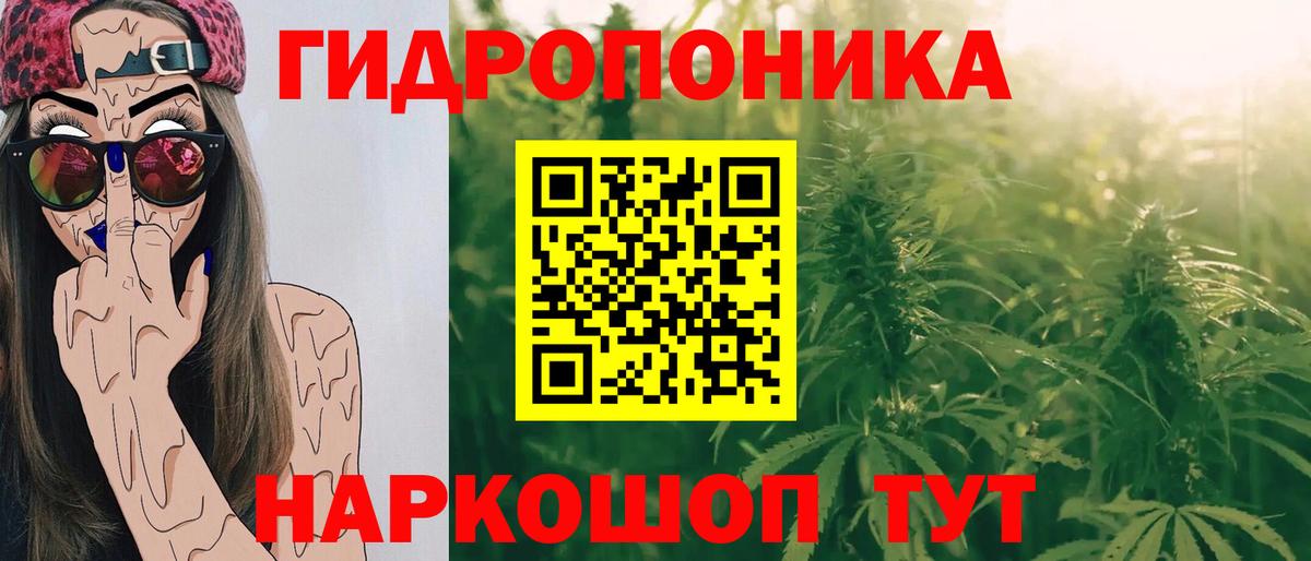 Бошки Шишки SATIVA & INDICA Карпинск